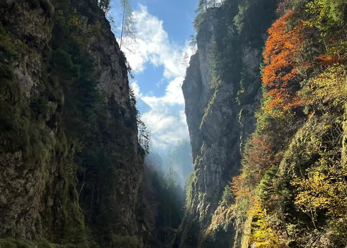 Waterfall - Cozy Mountain Retreat Apartamento *